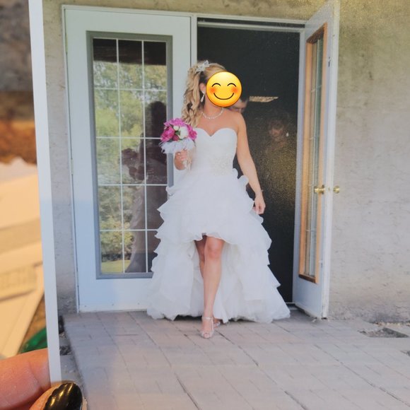 Wedding Dress/Halloween Costume - Picture 3 of 12